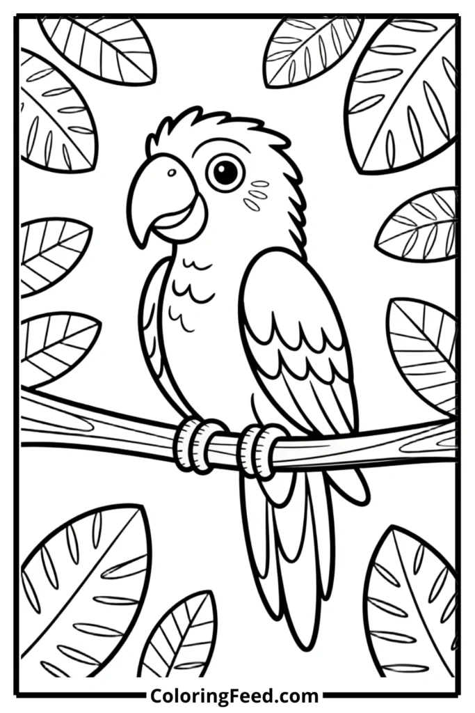 Easy Parrot Coloring Pages